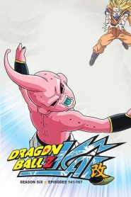 Dragon Ball Z Kai: Temporada 6