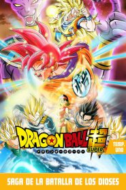 Dragon Ball Super: Temporada 1